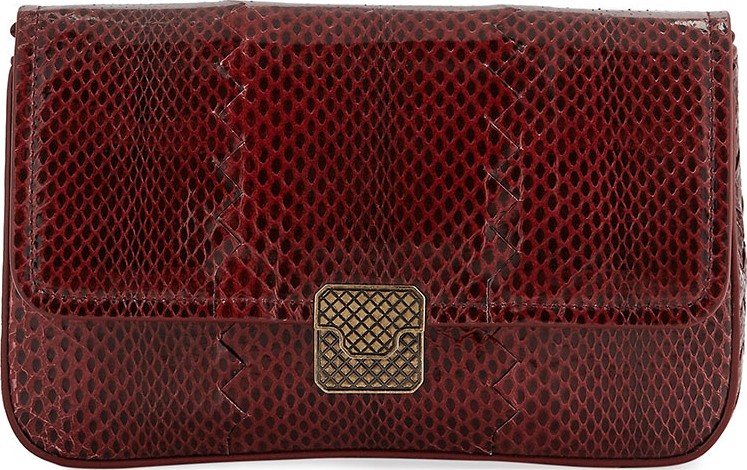 Bottega Veneta Ayers Snakeskin Wallet on Chain