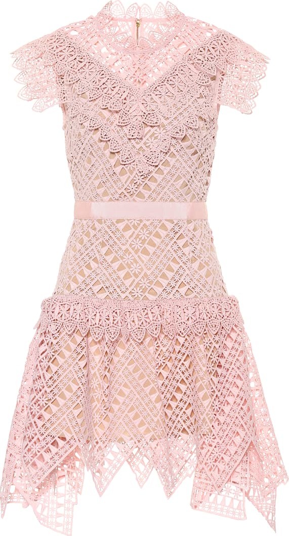 Self Portrait Guipure lace minidress
