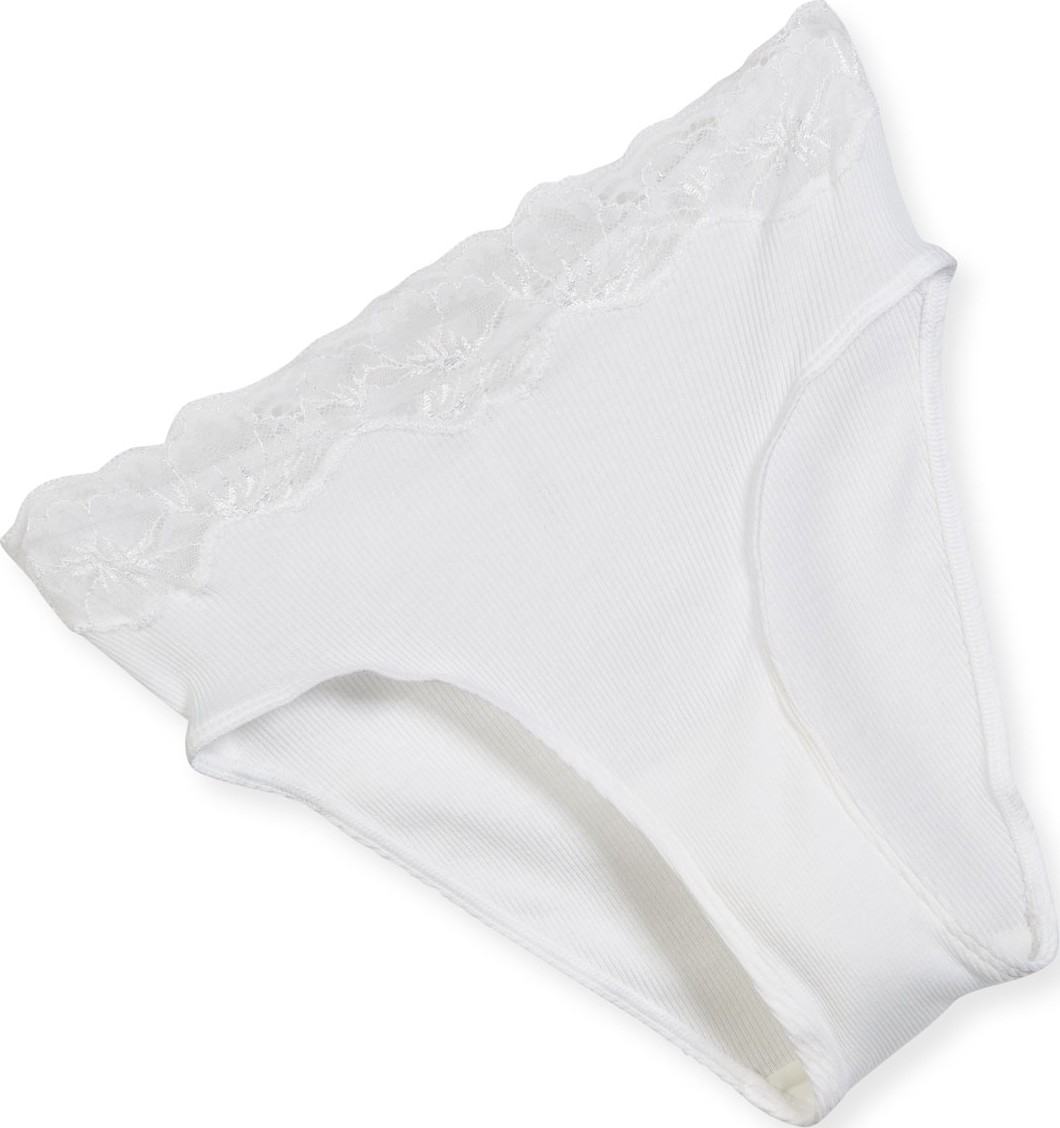 Hanro Lace Delight High-Cut Seamless Briefs
