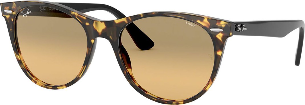Ray Ban Square Acetate Sunglasses