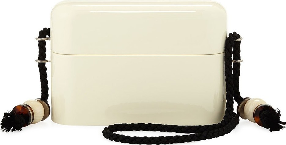 THE ROW Evening Case