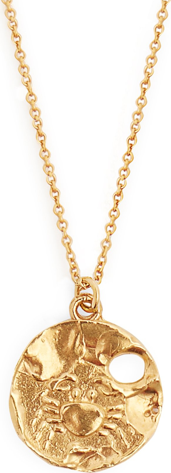 Alighieri Cancer gold-plated necklace
