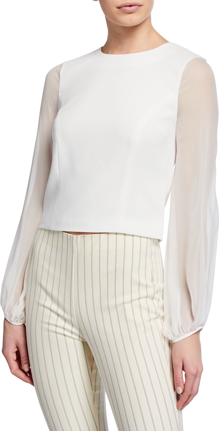 Cinq A Sept Elissa Sheer-Sleeve Crepe Blouse