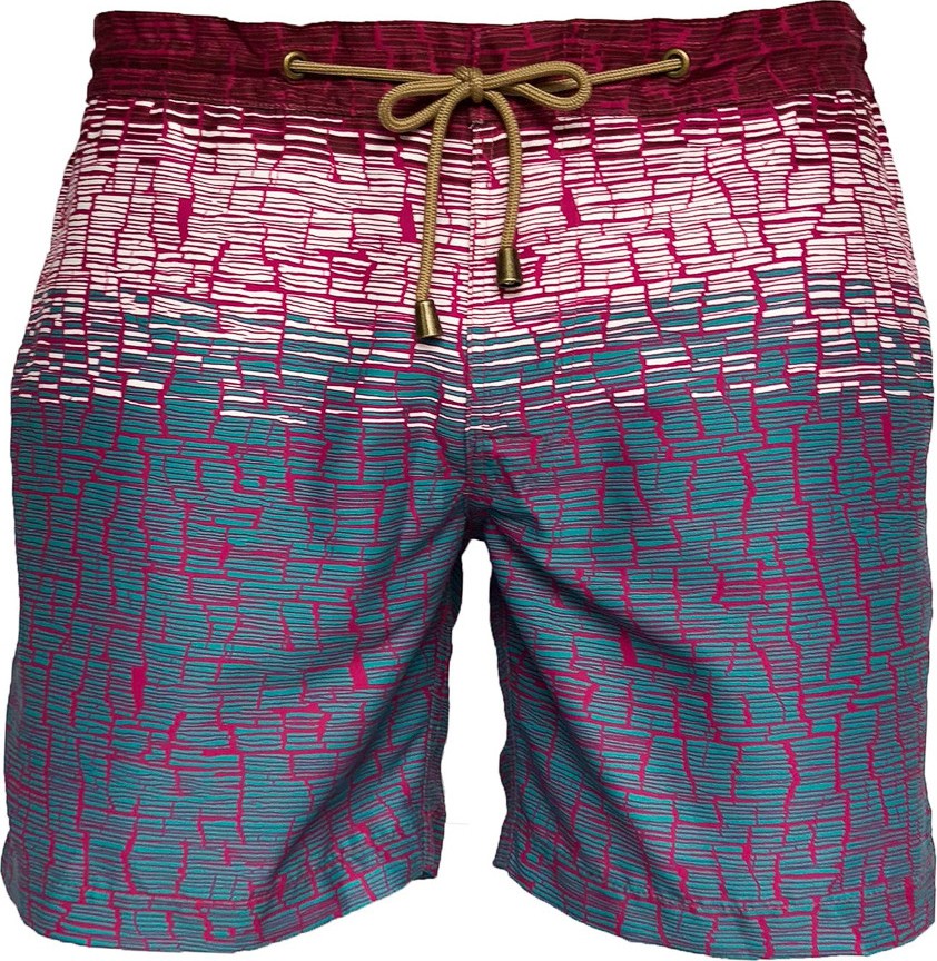 Thorsun tricolor print swim shorts