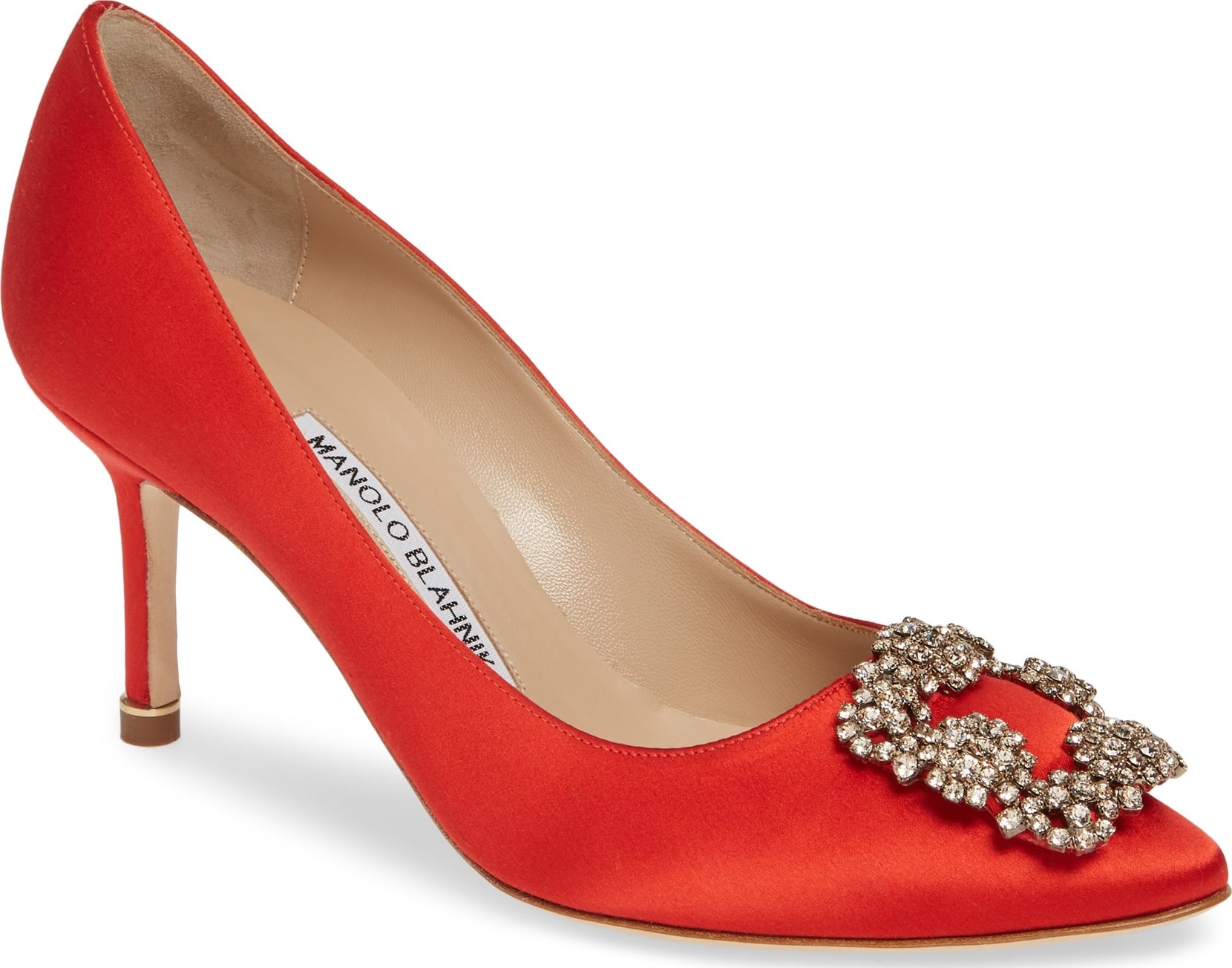 Manolo Blahnik 'Hangisi' Pointy Toe Pump