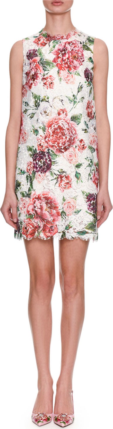 Dolce & Gabbana Sleeveless Rose-Printed Lace A-Line Dress