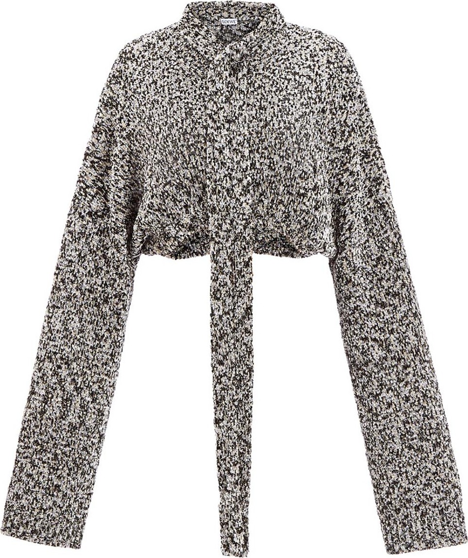 LOEWE Cropped Lurex Sweater