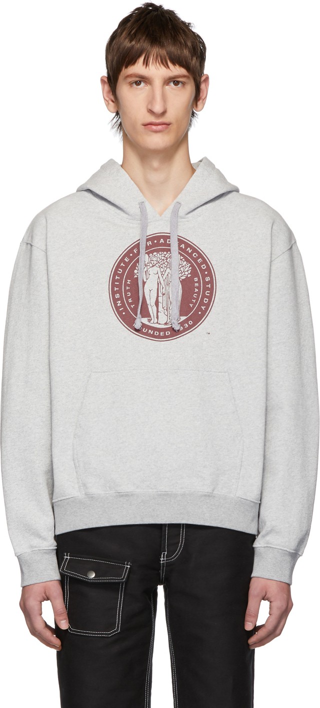 Phipps Grey 'Institute For Advanced Study' Hoodie