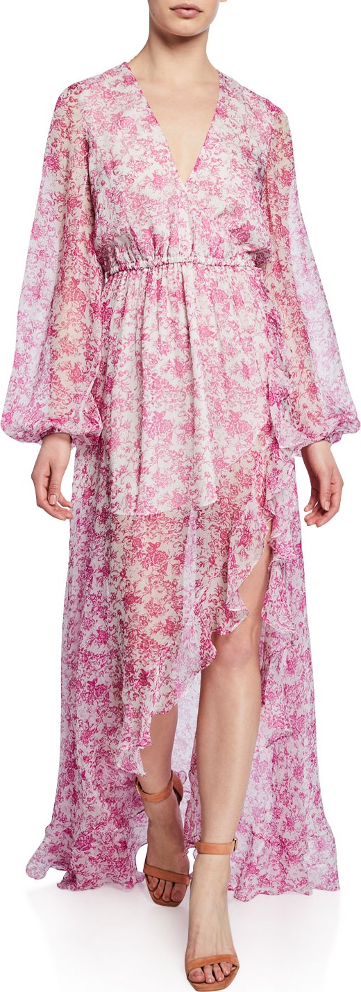 Caroline Constas Liv Floral Chiffon Slit Gown
