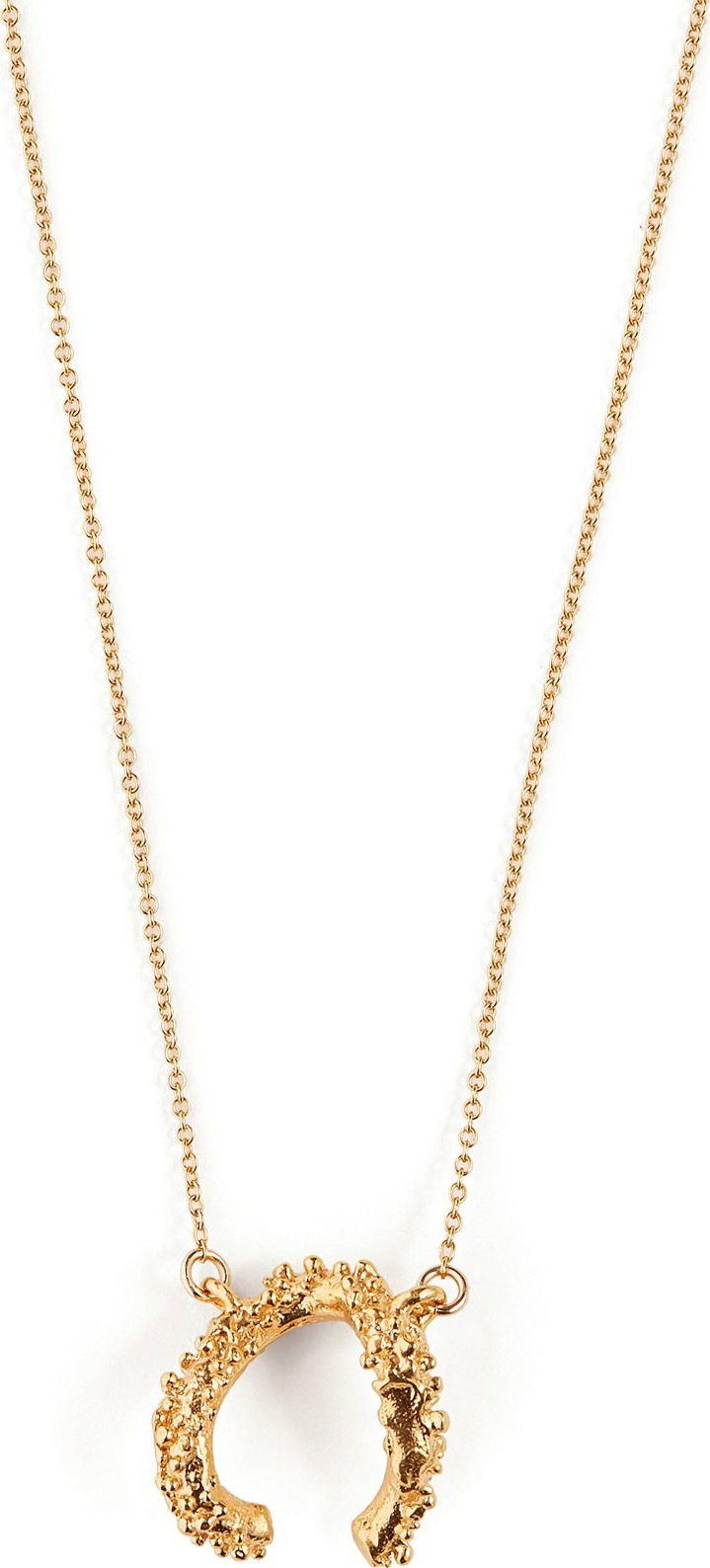 Alighieri The Night Cap 24kt gold-plated necklace