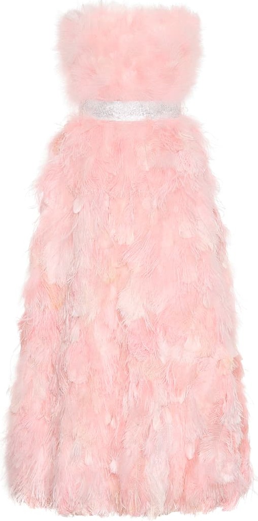 Dolce & Gabbana Feather and silk gown