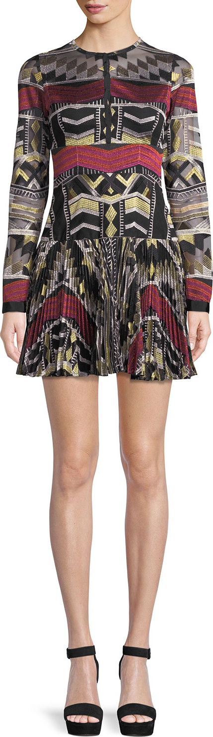Alexis Nalory Pleated Long-Sleeve Embroidered Mini Dress