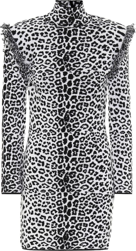 Dundas Leopard-print wool and cashmere dress