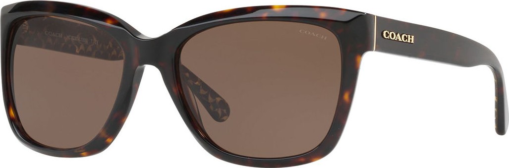 COACH Square Glitter Acetate Sunglasses