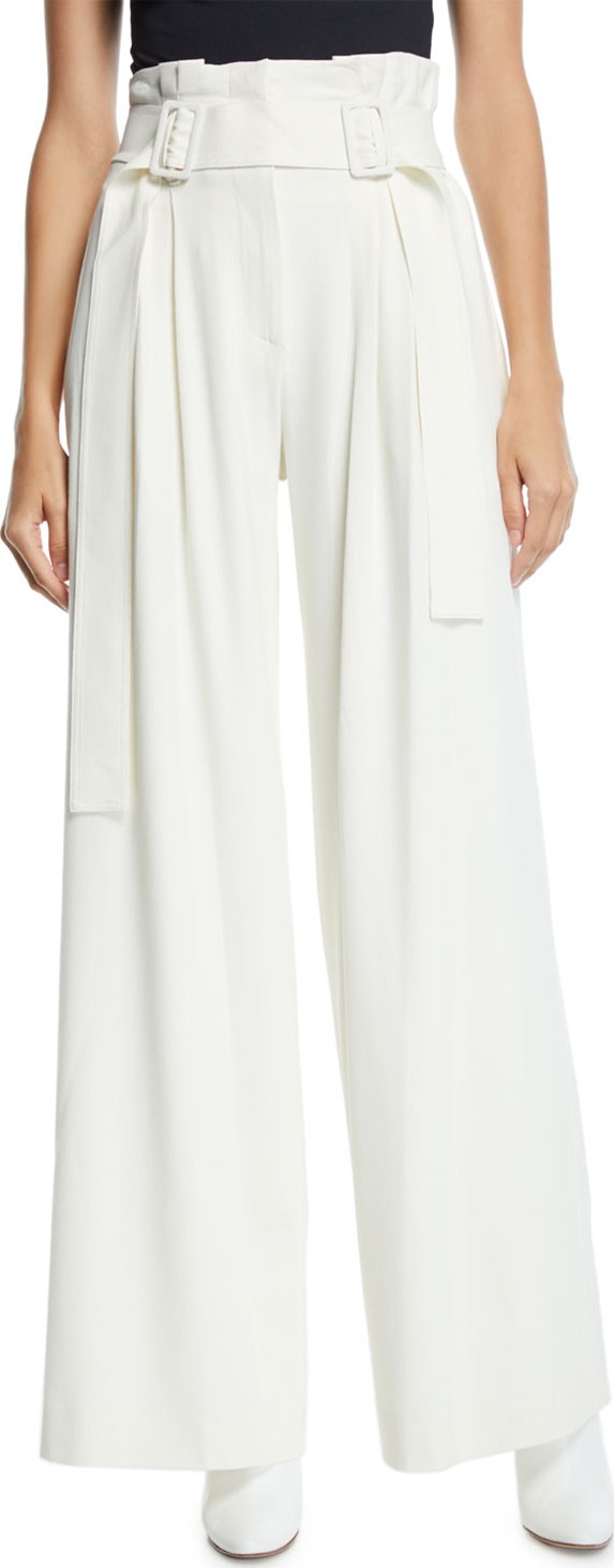 Derek Lam 10 Crosby Pleated Wide-Leg High-Rise Pants