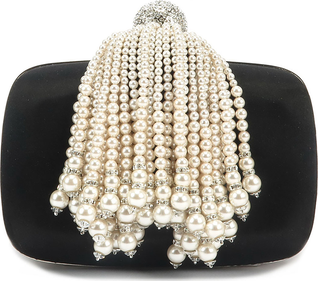 Roger Vivier Jaipur Pearly Fringe Minaudiere, Black