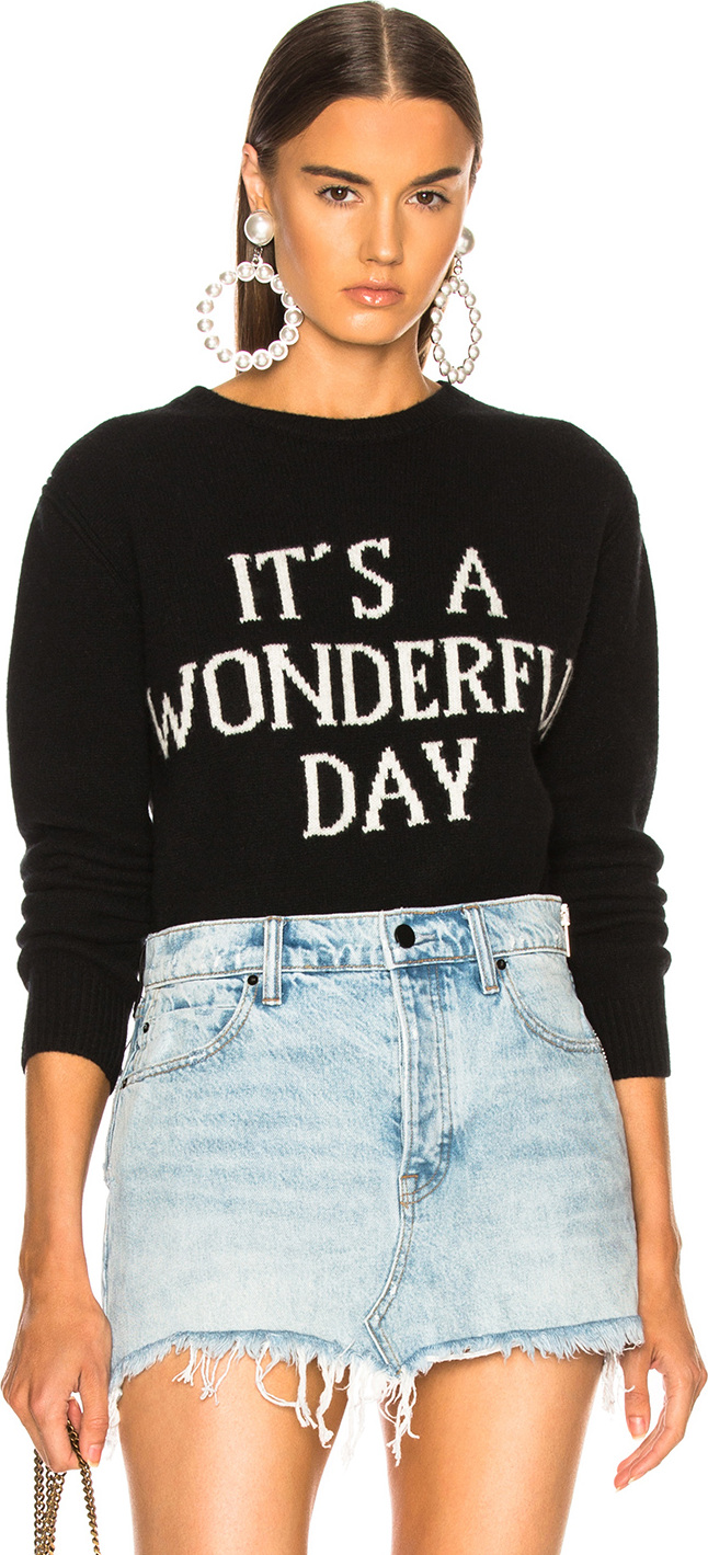 Alberta Ferretti It's A Wonderful Day Crewneck Sweater