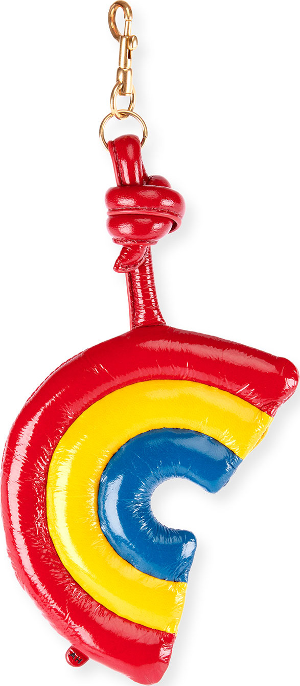 Anya Hindmarch Leather Chubby Rainbow Charm