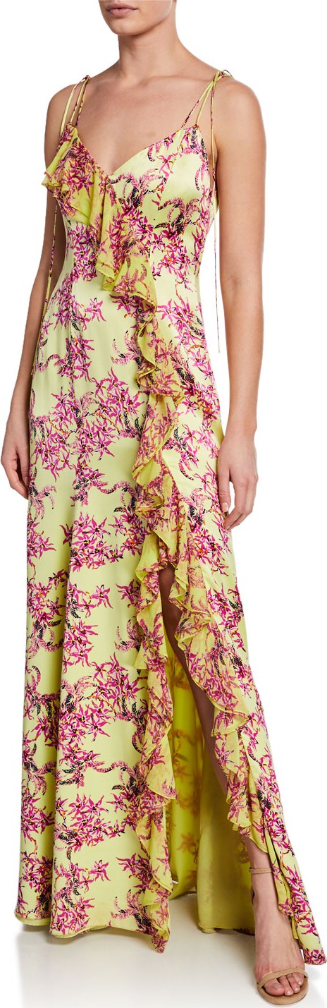 Cinq A Sept Velma Floral-Print Sleeveless Ruffle Silk Gown