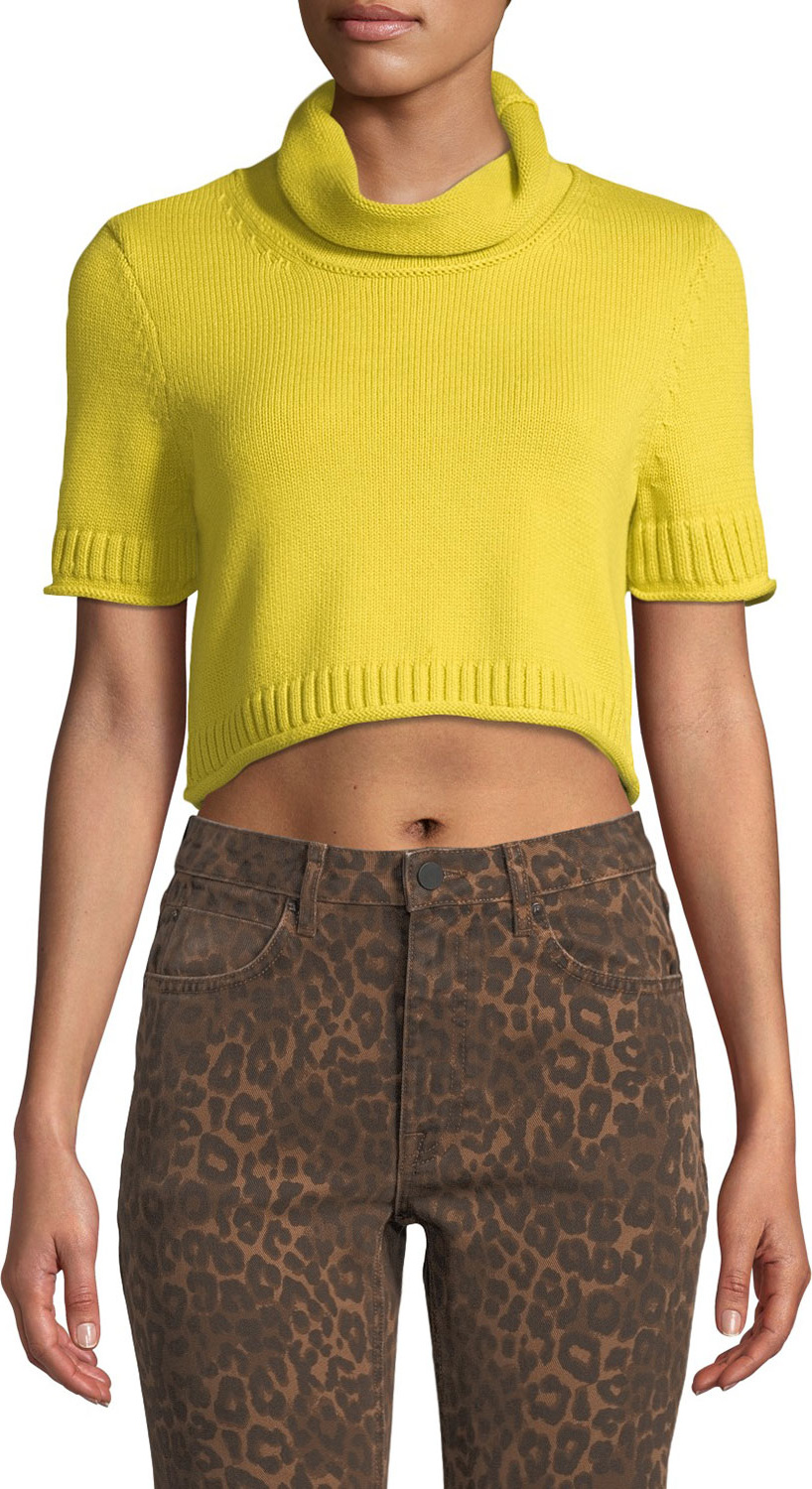 T By Alexander Wang Cropped Turtleneck Short-Sleeve Sweater
