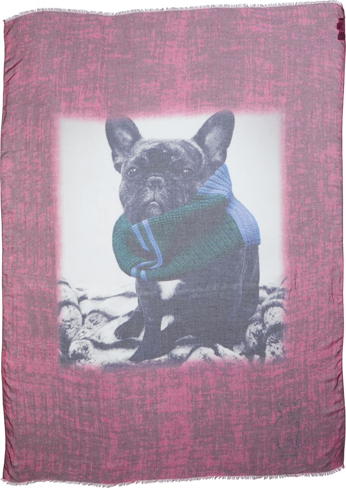 Yigal Azrouel Cozy Jagger Print Modal & Cashmere Scarf