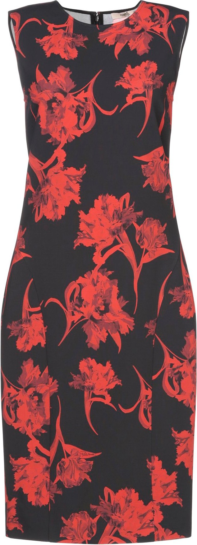 Roberto Cavalli Knee