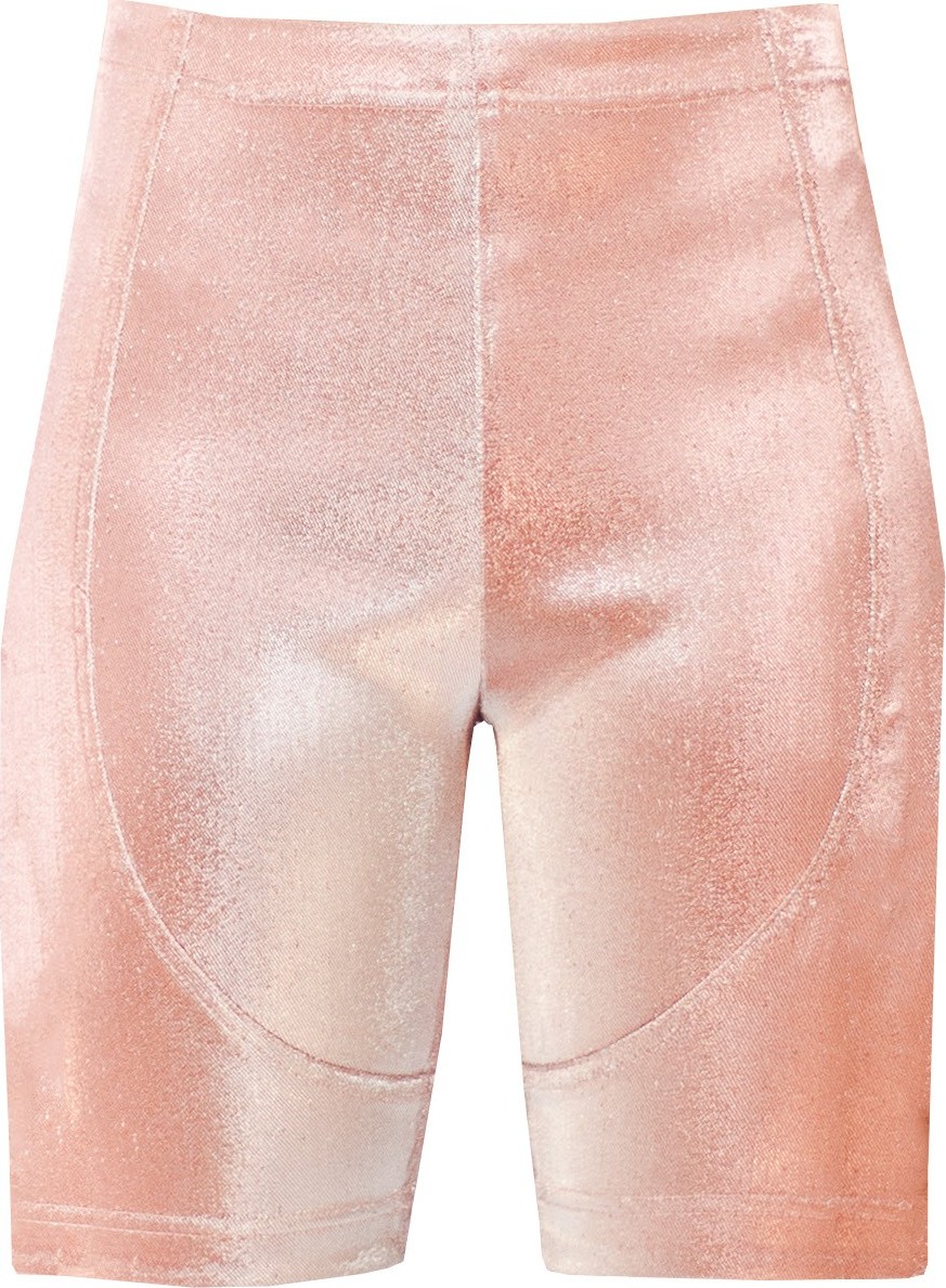 Area Rose Lamé Biker Shorts