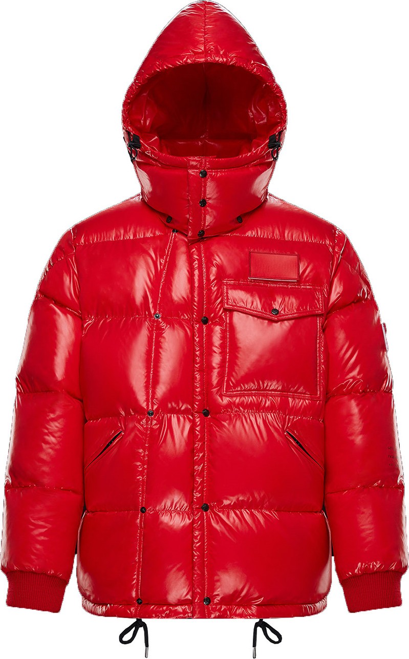 Moncler Genius 7 Moncler fragment Anthem down jacket