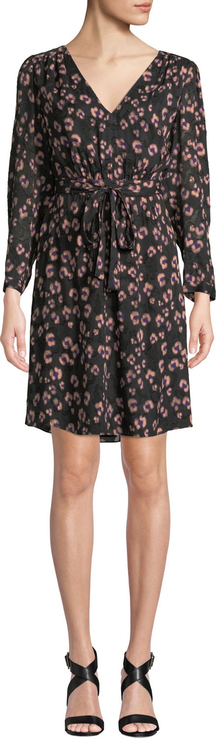Rebecca Taylor Long-Sleeve Cheetah-Print V-Neck Dress