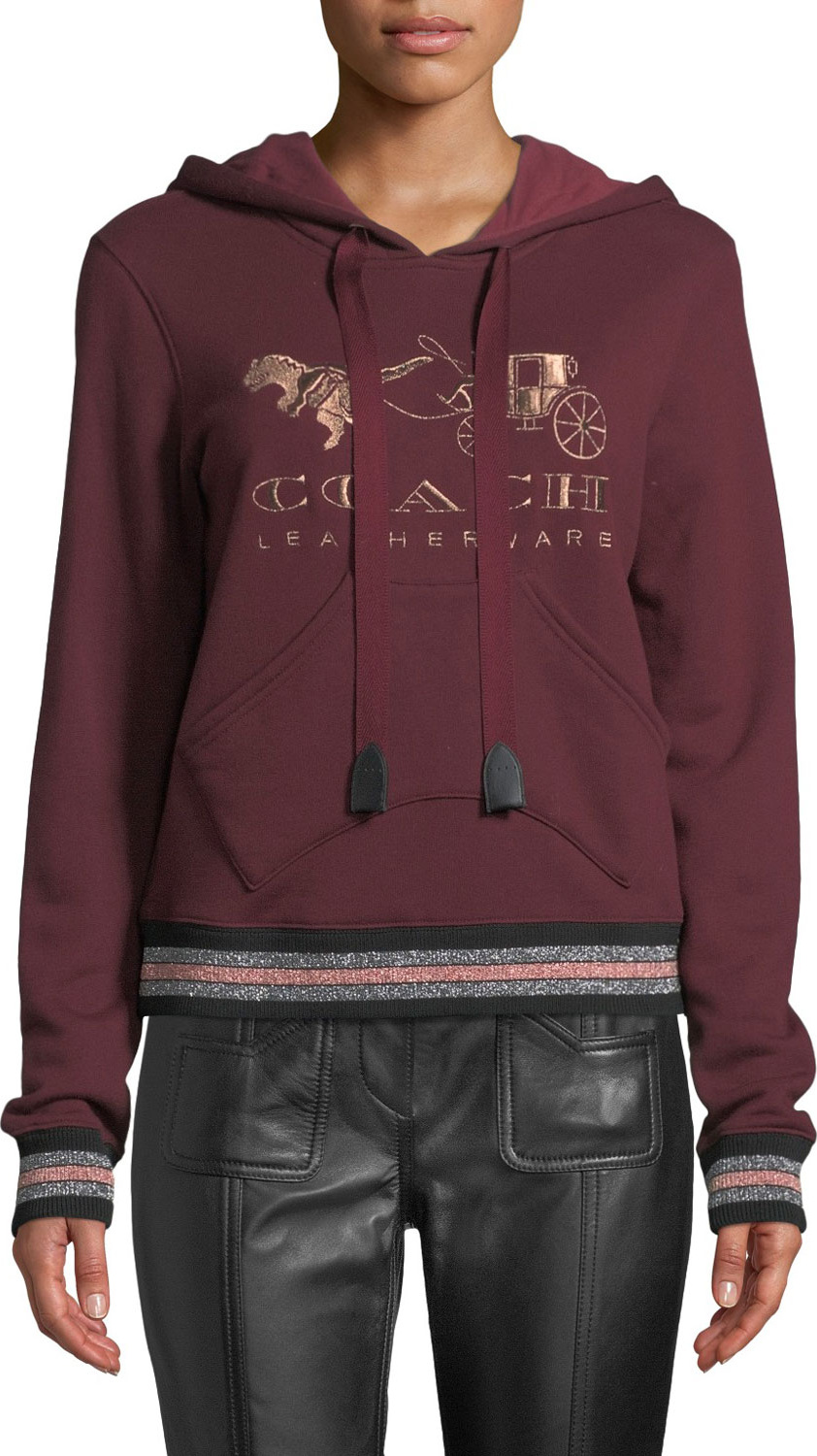 COACH Rexy And Carriage Graphic Pullover Hoodie