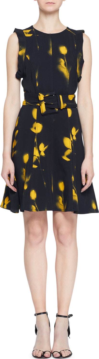 Proenza Schouler Belted Blur Print Sleeveless Dress