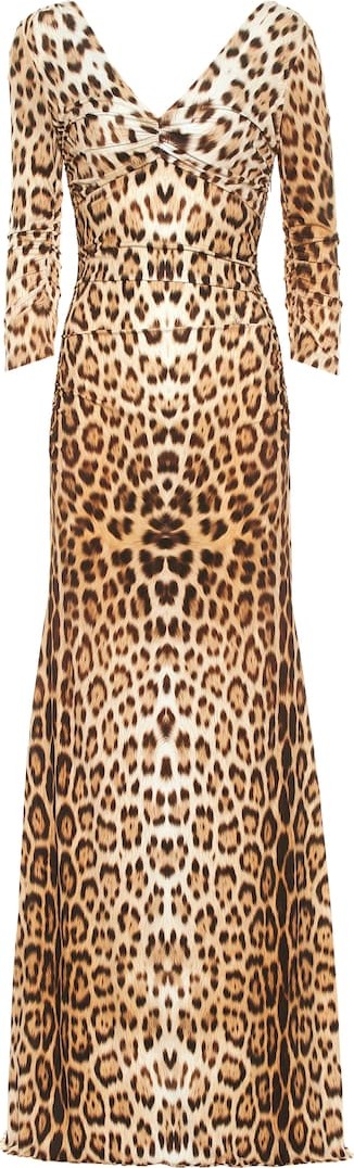 Roberto Cavalli Leopard-print jersey maxi dress
