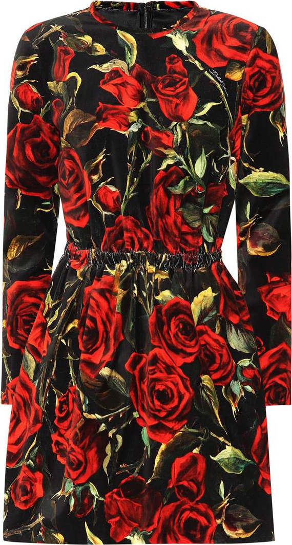 Dolce & Gabbana Floral-printed velvet minidress