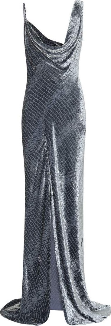 Roberto Cavalli Velvet gown