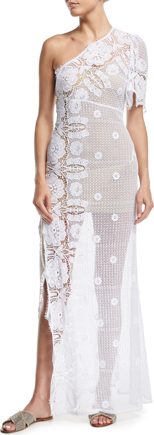 Miguelina Elora Sheer Lace Maxi Dress Coverup