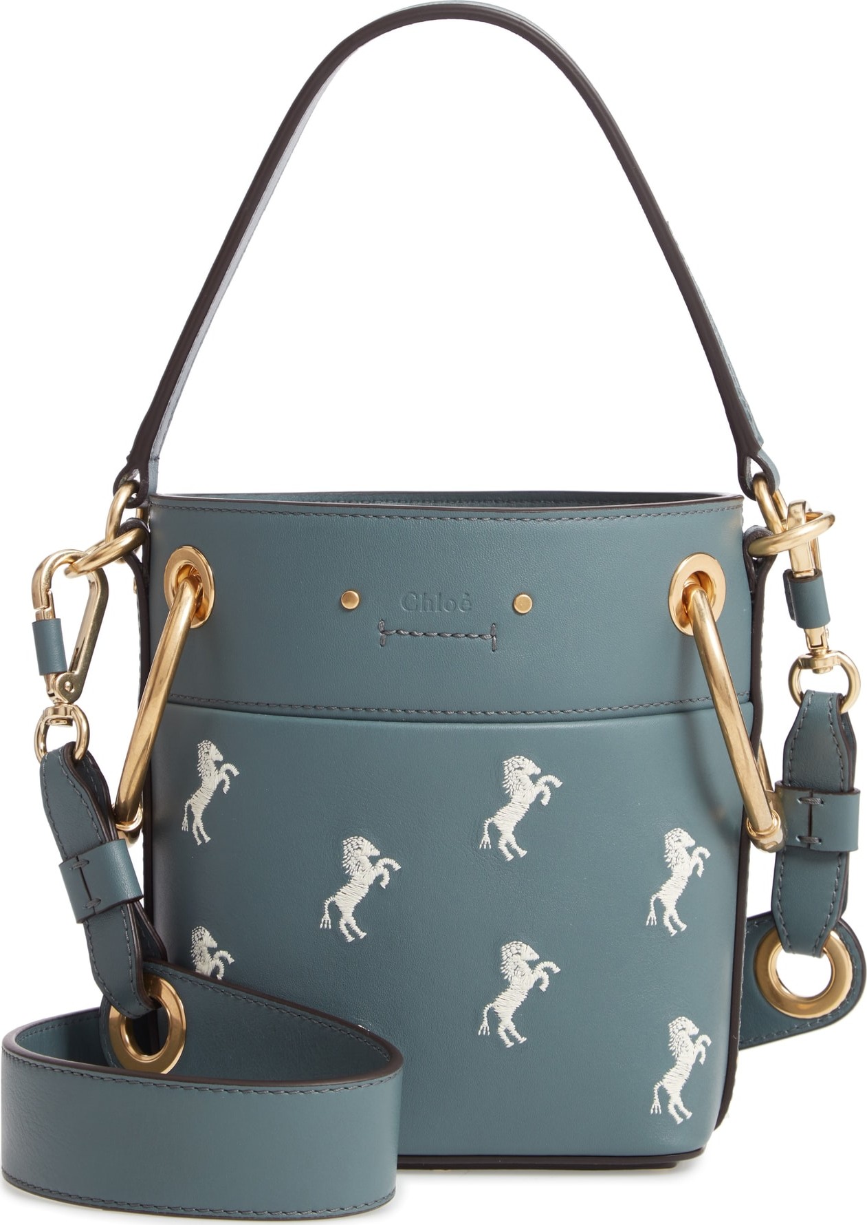 Chloe Roy Mini Embroidered Leather Bucket Bag