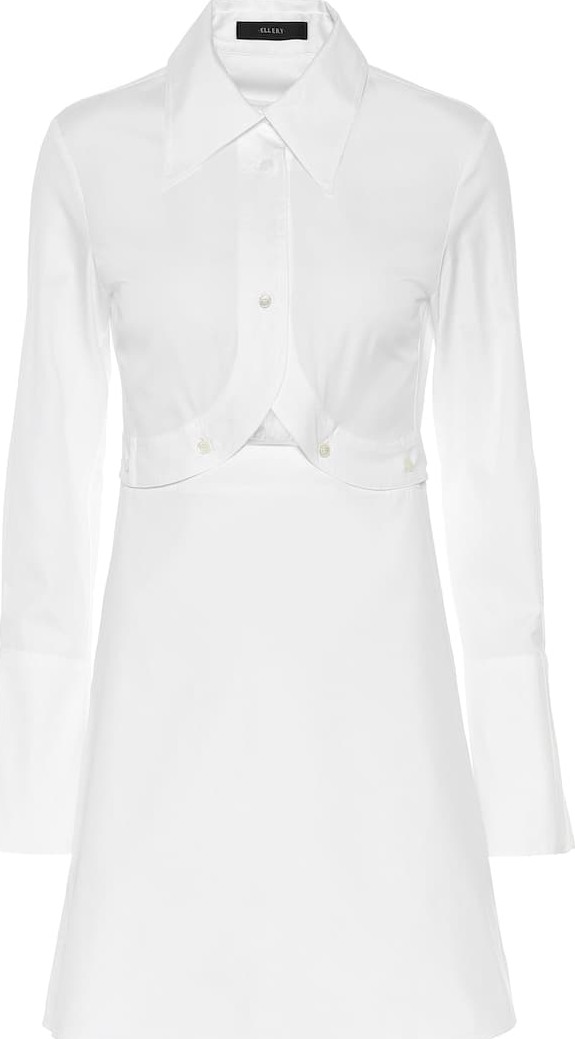 Ellery Double Helix cotton shirt dress