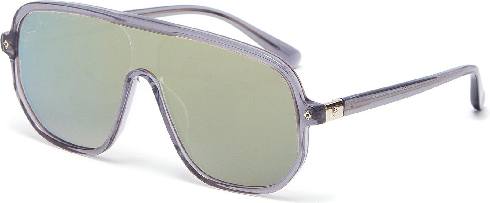 Stephane + Christian Acetate Google D frame sunglasses