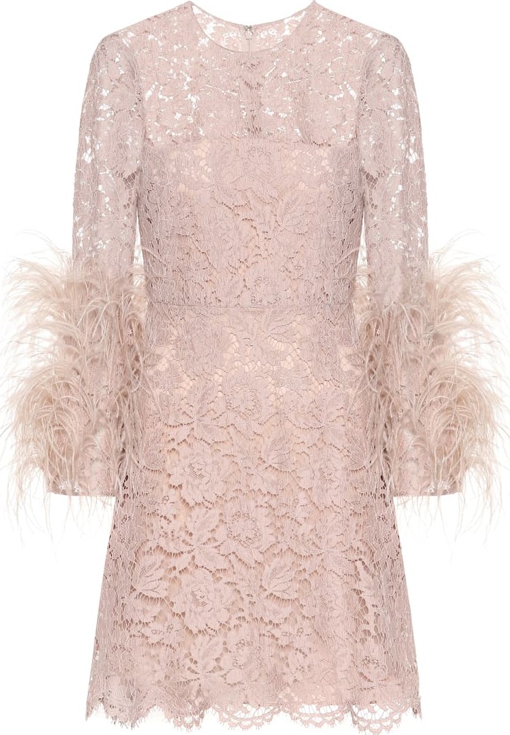 Valentino Feather-trimmed lace minidress