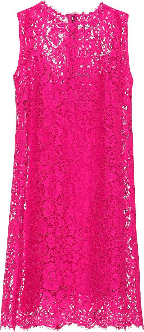 Dolce & Gabbana Cotton-blend lace dress