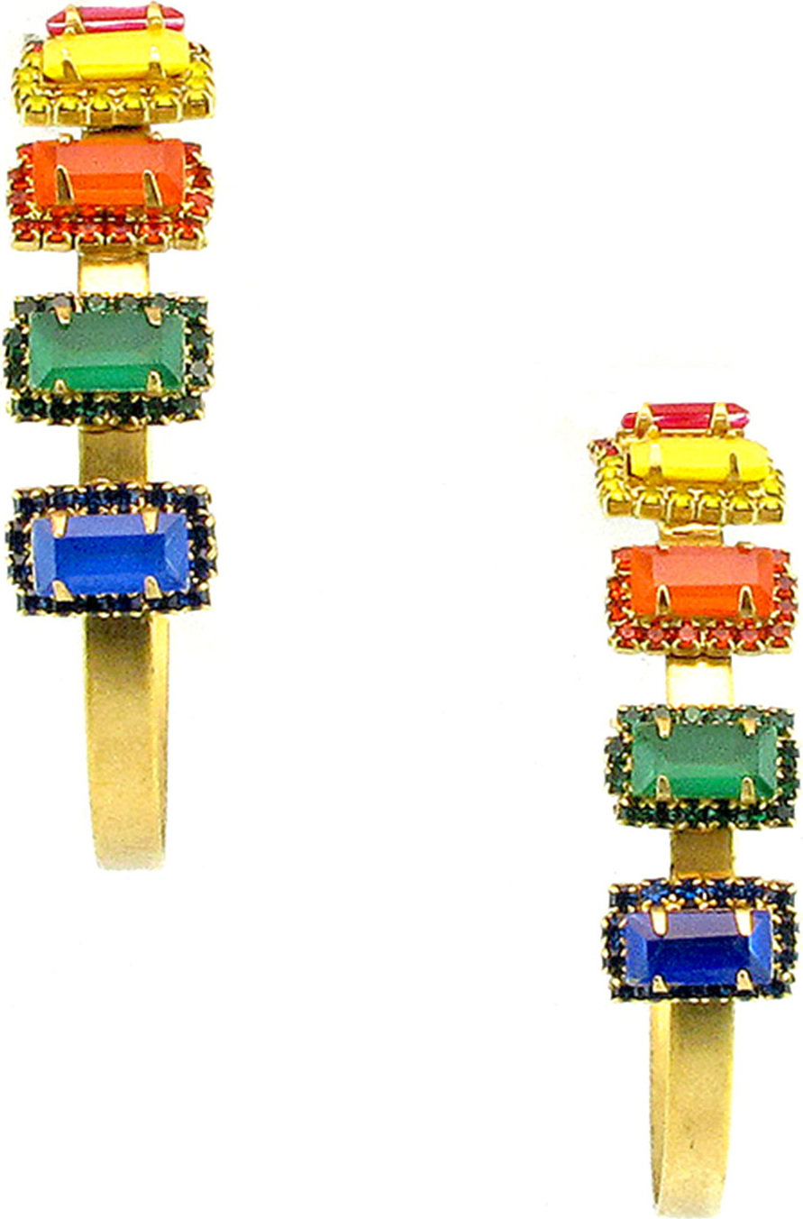 Elizabeth Cole Jalus Hoop Earrings