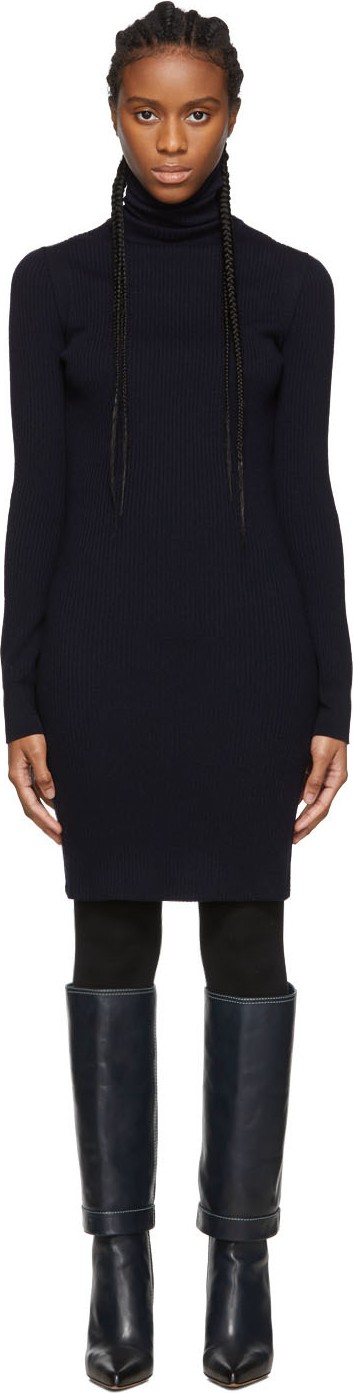 Sportmax Navy Giovane Dress