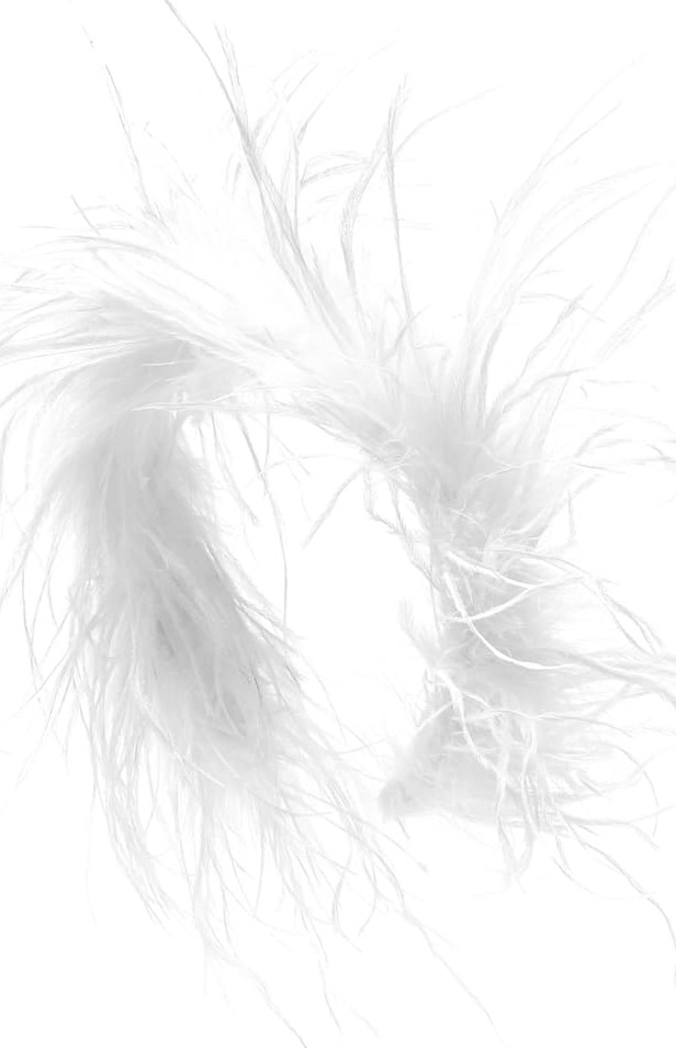 Alessandra Rich Feather-trimmed hairband