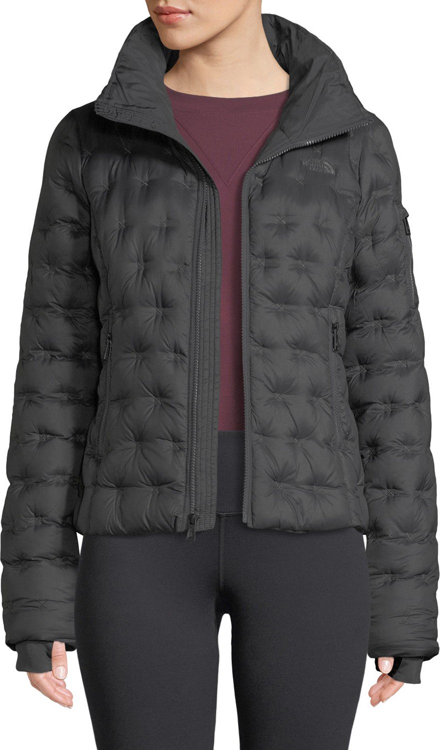 The North Face Holladown Pintuck-Quilted Crop Jacket