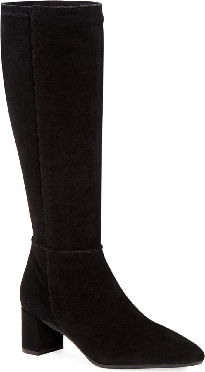 Aquatalia Karly Suede Knee Boots