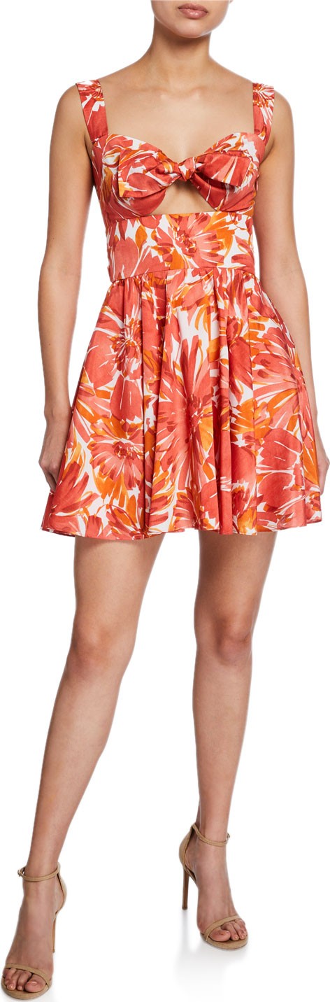 Alexis Ilda Floral-Print Sweetheart Fit-&-Flare Dress