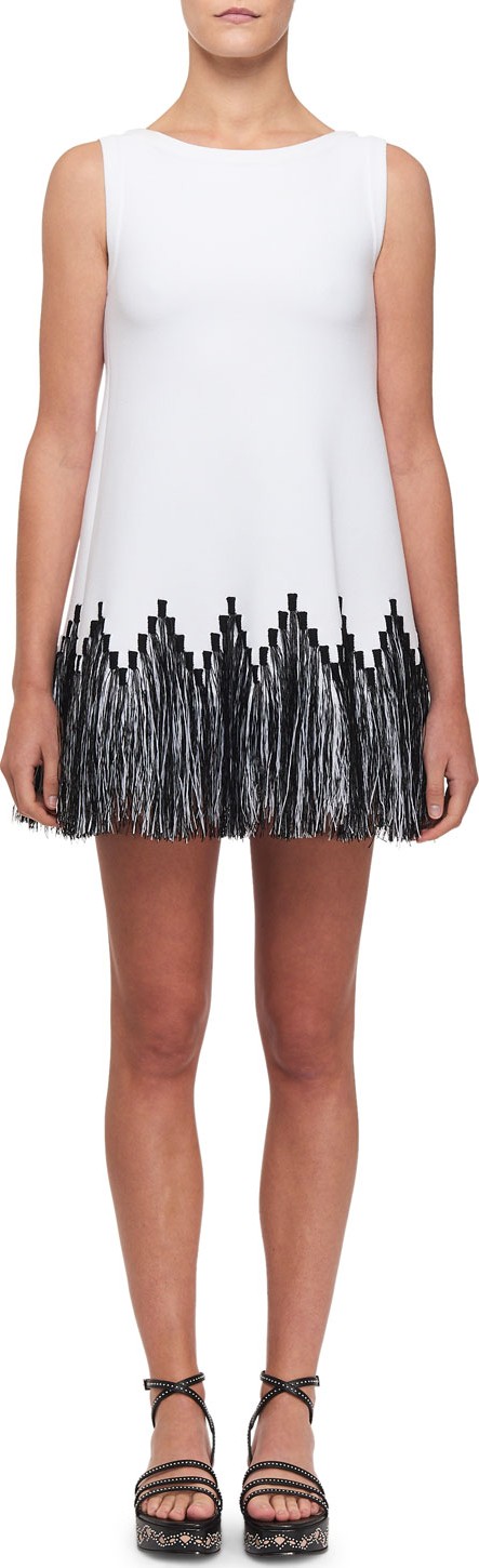 Alaïa Raffia-Fringe Tunic Dress
