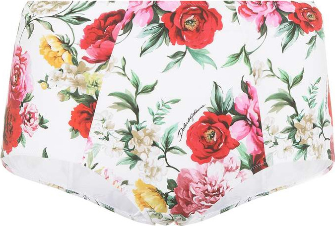 Dolce & Gabbana Floral-printed bikini bottoms