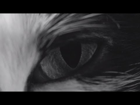 Givenchy Teaser Campaign: Transformation Seduction video cover