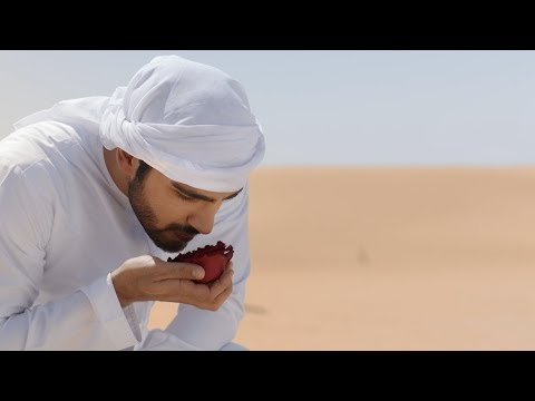 THE ONE MYSTERIOUS NIGHT - THE DESERT - Part 1 video cover